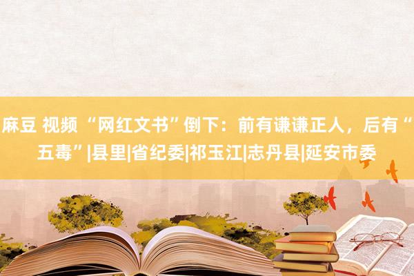 麻豆 视频 “网红文书”倒下：前有谦谦正人，后有“五毒”|县里|省纪委|祁玉江|志丹县|延安市委