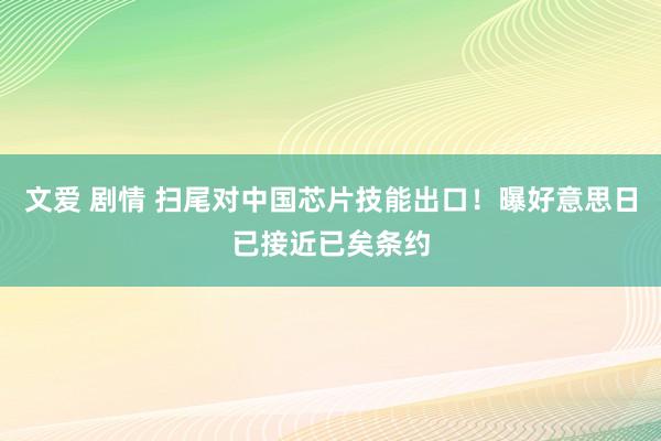 文爱 剧情 扫尾对中国芯片技能出口！曝好意思日已接近已矣条约