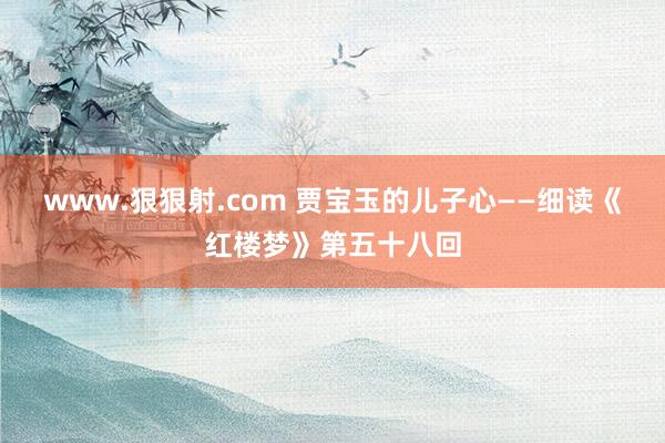 www.狠狠射.com 贾宝玉的儿子心——细读《红楼梦》第五十八回