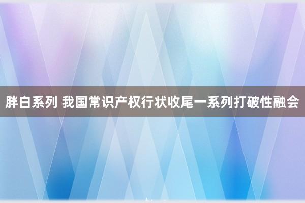 胖白系列 我国常识产权行状收尾一系列打破性融会