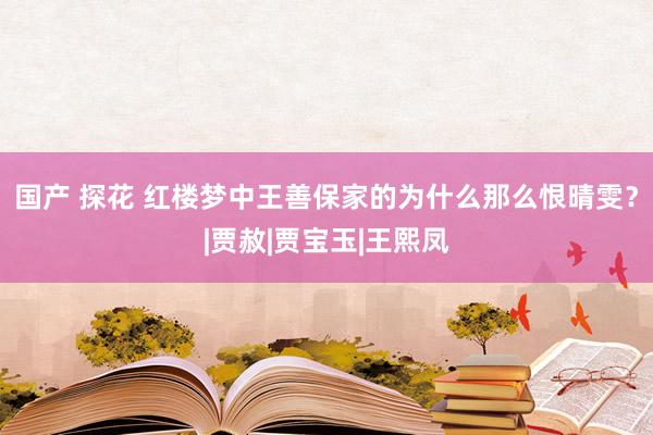 国产 探花 红楼梦中王善保家的为什么那么恨晴雯？|贾赦|贾宝玉|王熙凤