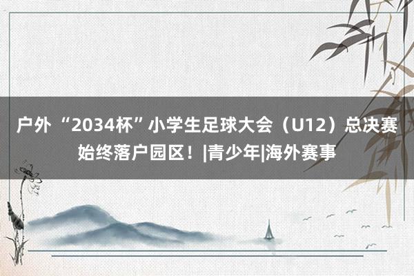 户外 “2034杯”小学生足球大会（U12）总决赛始终落户园区！|青少年|海外赛事