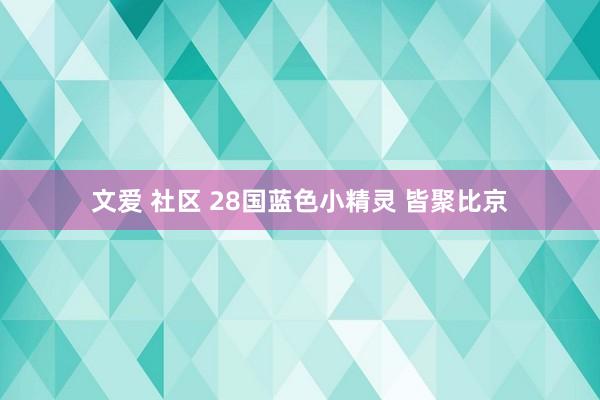 文爱 社区 28国蓝色小精灵 皆聚比京