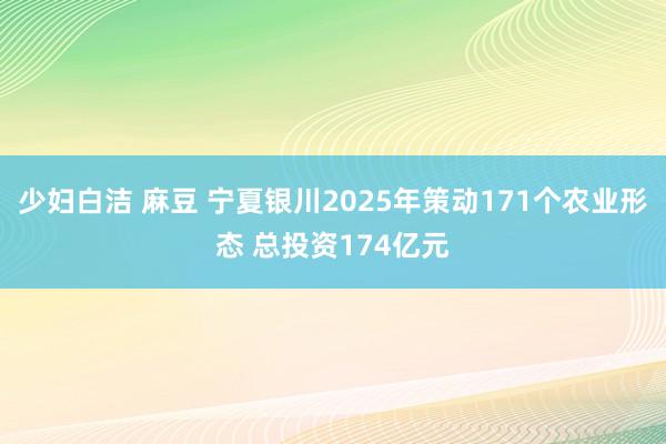 少妇白洁 麻豆 宁夏银川2025年策动171个农业形态 总投资174亿元