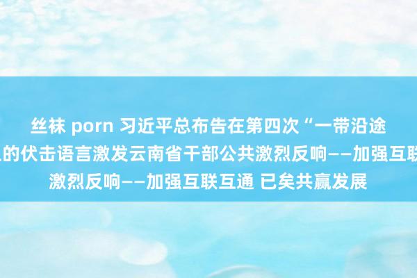 丝袜 porn 习近平总布告在第四次“一带沿途”缔教训业谈话会上的伏击语言激发云南省干部公共激烈反响——加强互联互通 已矣共赢发展