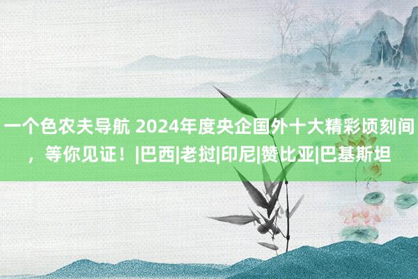 一个色农夫导航 2024年度央企国外十大精彩顷刻间，等你见证！|巴西|老挝|印尼|赞比亚|巴基斯坦